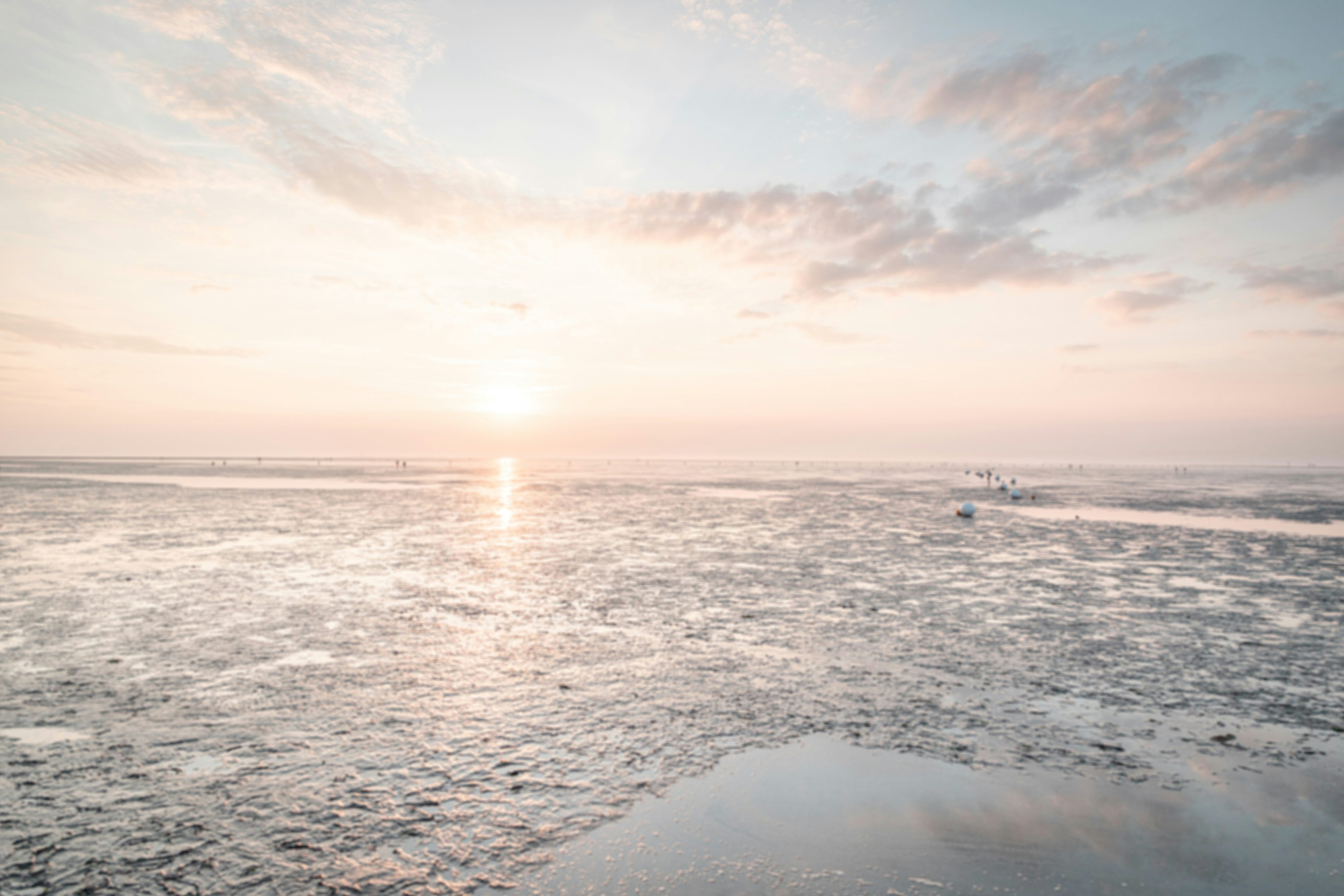 Wattwanderung Langeoog: Alles, was Sie wissen müssen