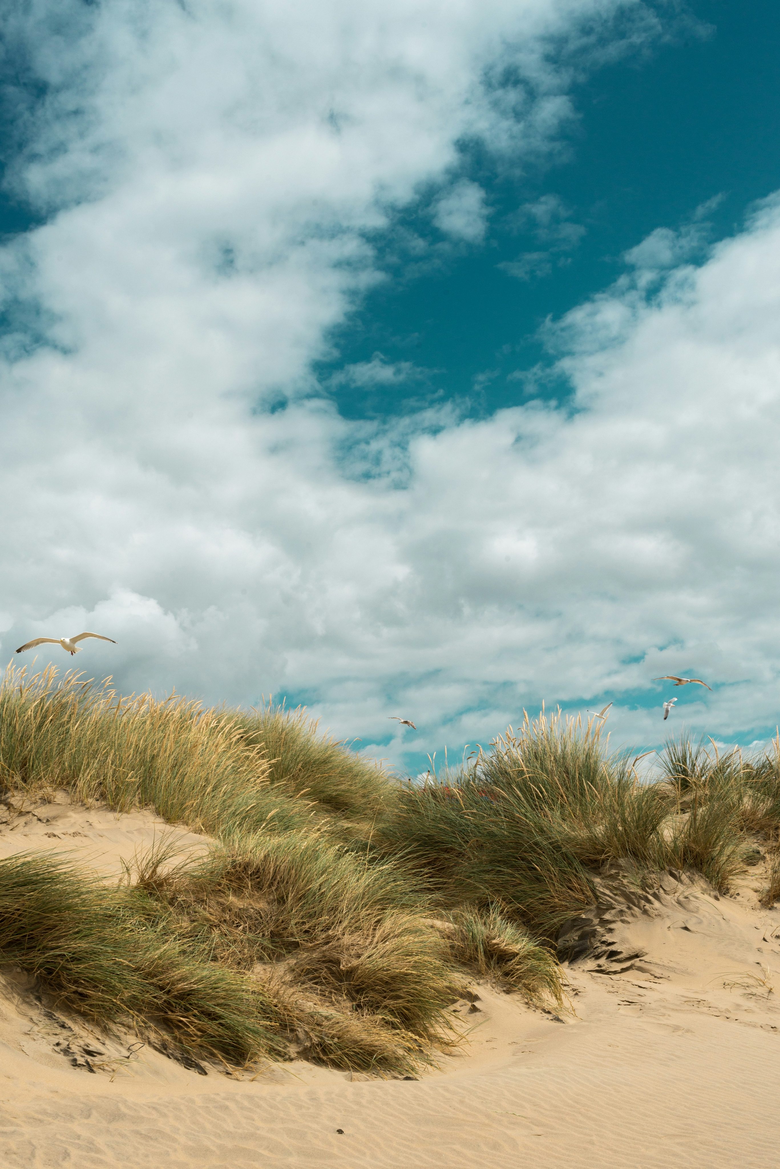 Langeoog vs. Norderney: Wo urlaubt man besser?